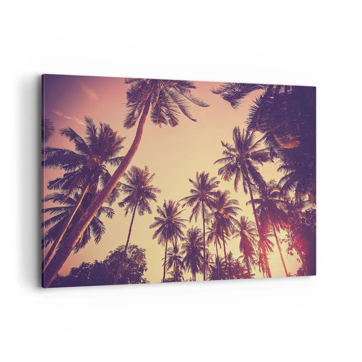 Cuadro sobre lienzo - Impresión de Imagen - Palmeras contra el cielo con cálidos colores del atardecer. - 100x70cm - Variante tropical - Decoración de pared moderna para salón y dormitorio ARTTOR