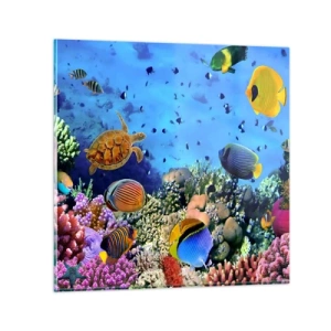 Cuadro sobre vidrio - Impresiones sobre Vidrio - Y qué sabemos de la vida... - 40x40 cm