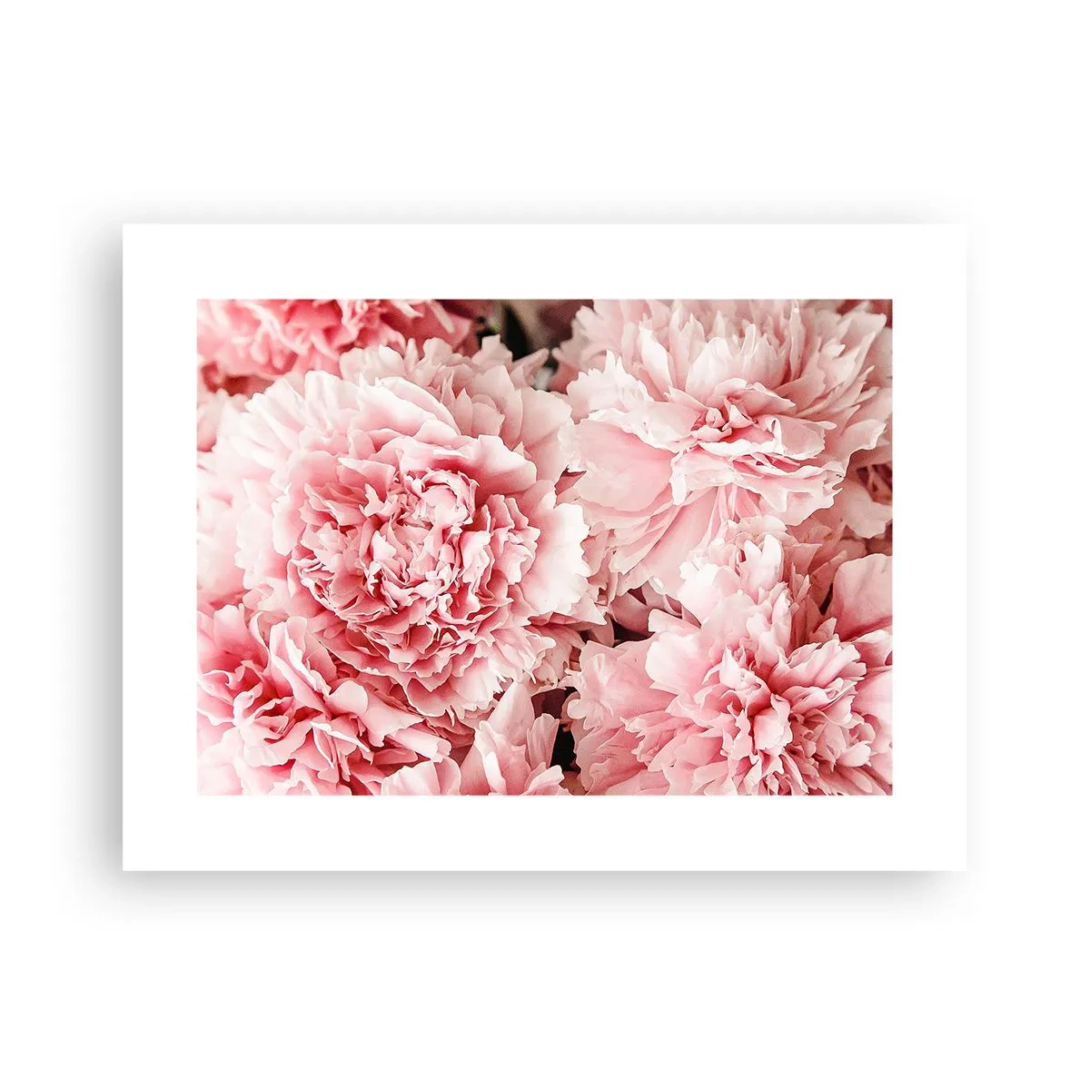 Póster - Sueño rosa - 40x30 cm