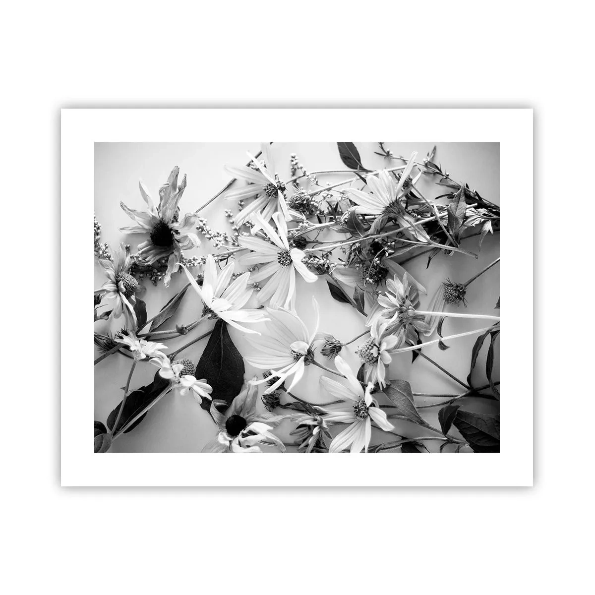 Póster - Un no ramo de flores - 50x40 cm