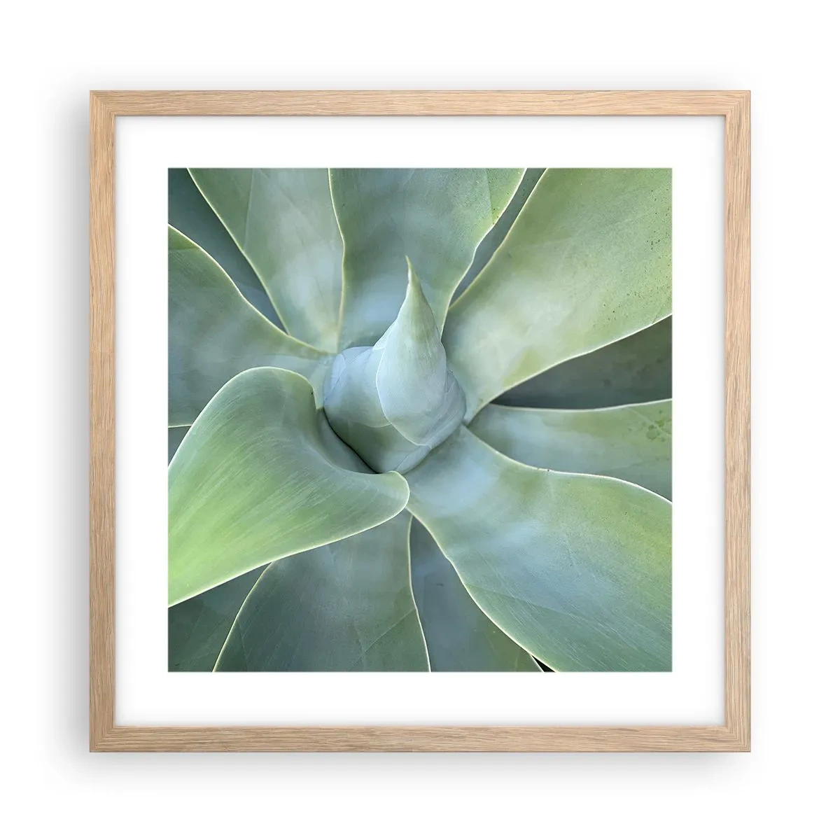 Póster en marco roble claro - El nacimiento del verde - 40x40 cm