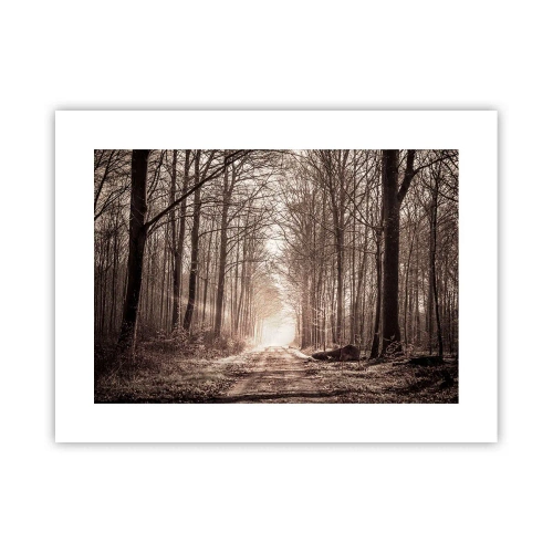 Póster - La catedral del bosque - 40x30 cm