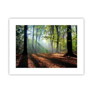 Póster - Resplandores y sombras - 40x30 cm