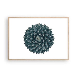 Póster en marco roble claro - Estrella del desierto - 100x70 cm