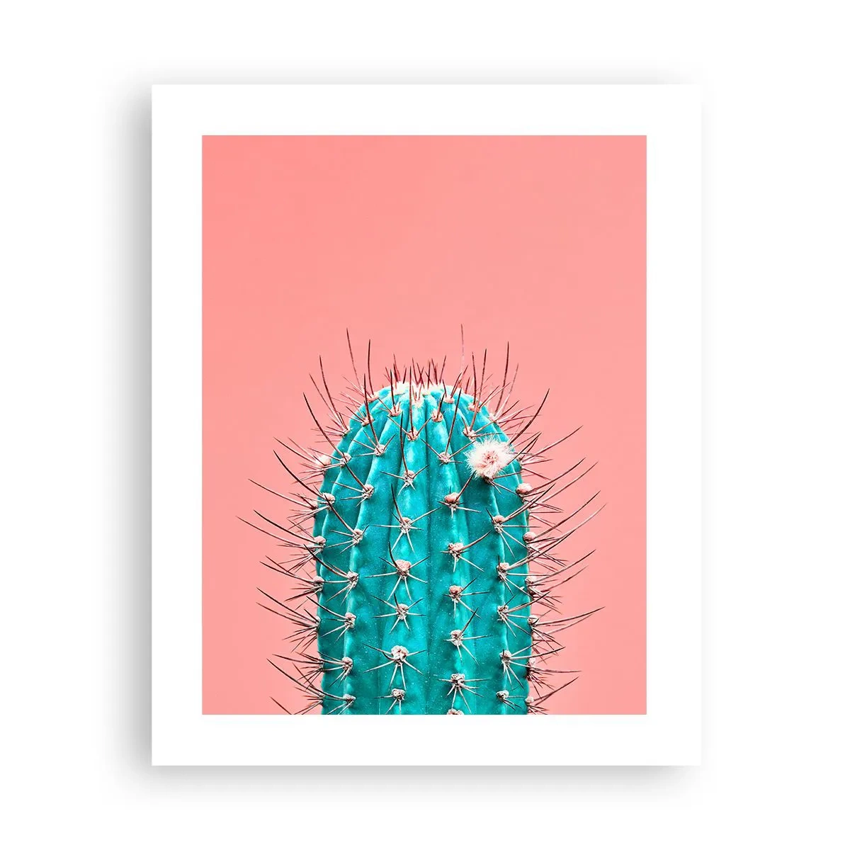 Póster - Se mira, pero no se toca - 40x50 cm