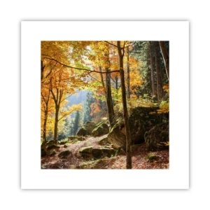 Póster - Tiempo de descanso - 30x30 cm