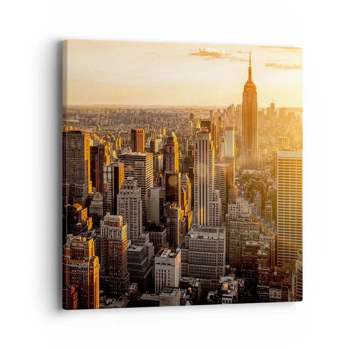 Cuadro sobre lienzo - Impresión de Imagen - Creciendo al sol - 40x40 cm