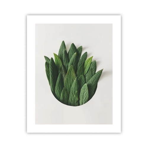 Póster - Curiosidad desenfrenada - 40x50 cm