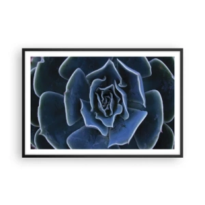 Póster en marco negro - Flor del desierto - 91x61 cm