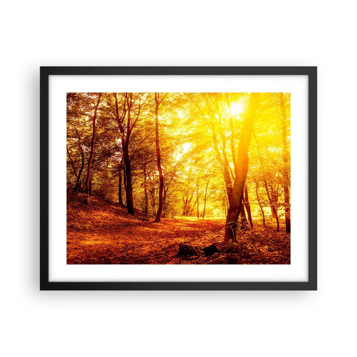 Póster en marco negro - Hacia un claro de oro - 50x40 cm