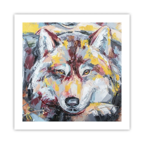 Póster - Pinceladas de lobo - 50x50 cm