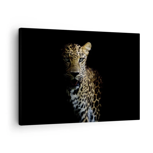 Cuadro sobre lienzo - Impresión de Imagen - Un leopardo sobre un fondo oscuro con una mirada intensa. - 70x50cm - Belleza oscura - Decoración de pared moderna para salón y dormitorio ARTTOR