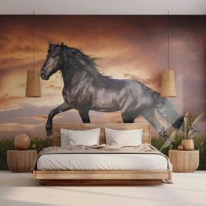 Fotomural personalizado Autoadhesivo Deluxe Sticker - Príncipe negro - animales, caballo arabe, Paisaje