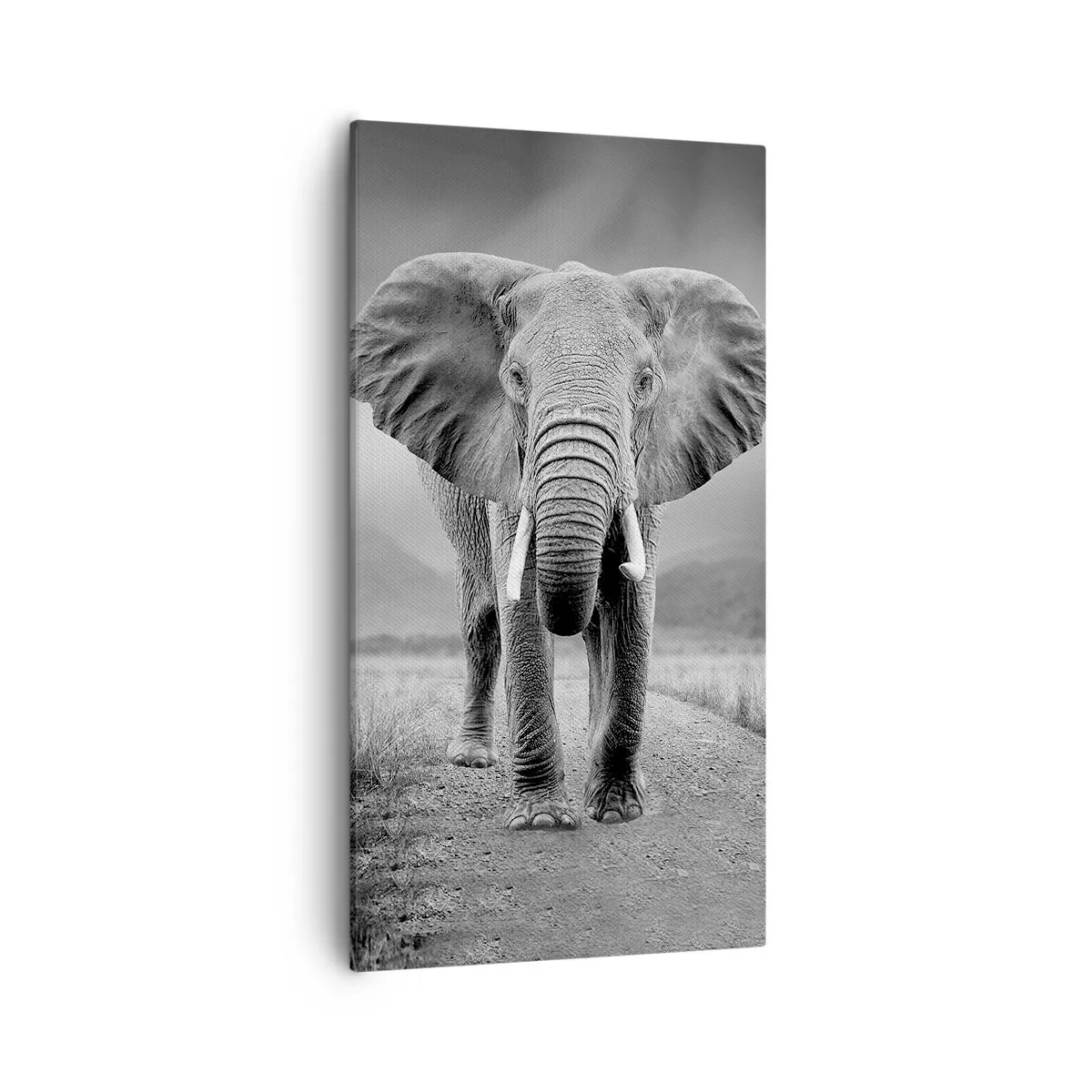 Cuadro sobre lienzo - Impresión de Imagen - El anfitrión da la bienvenida - 55x100 cm