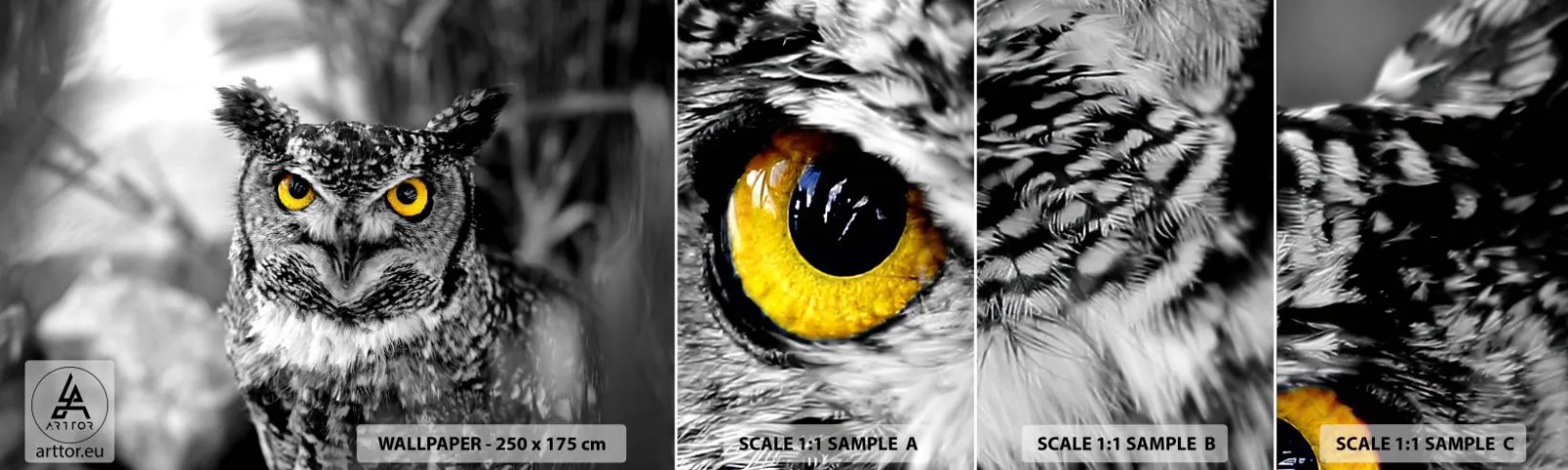 Muestra De Fotomural Standard Eco - Nada se puede ocultar - Aves, Búho, Naturaleza - 100x30 cm