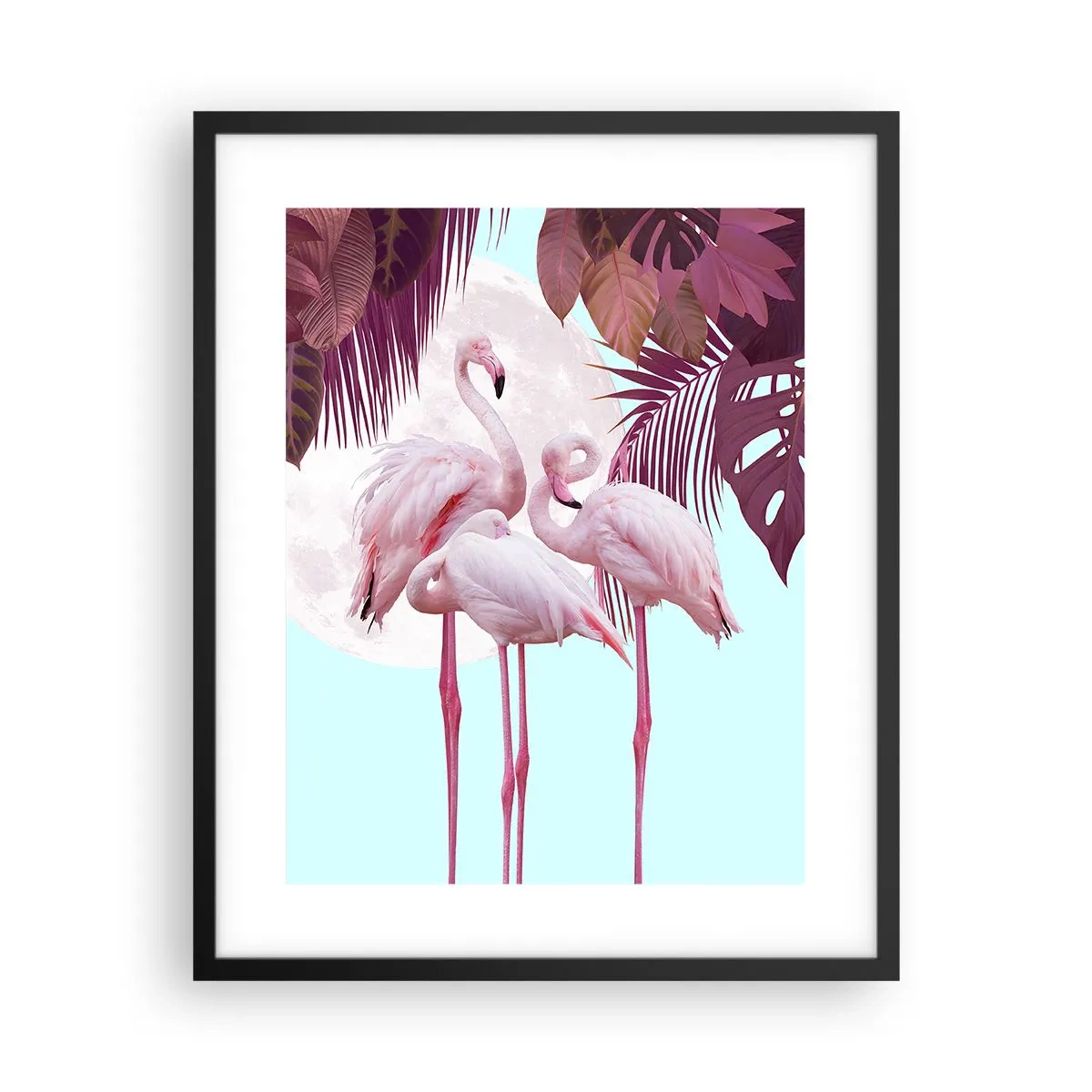 Póster en marco negro - La grandeza de las aves - 40x50 cm