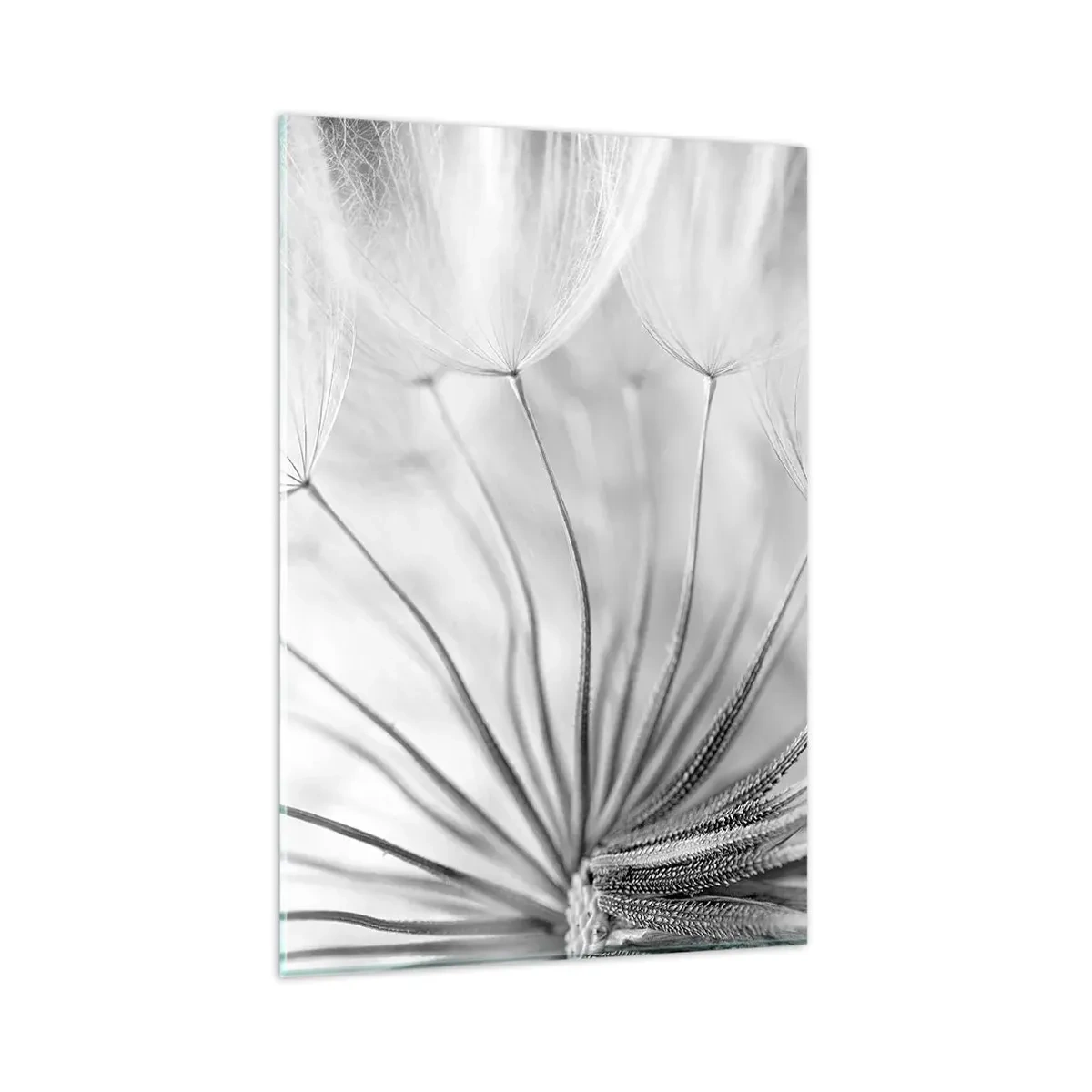 Cuadro sobre vidrio - Impresiones sobre Vidrio - Delicados dientes de león en tonos blanco y negro. - 80x120cm - Caricias del viento - Decoración de pared moderna para salón y dormitorio ARTTOR