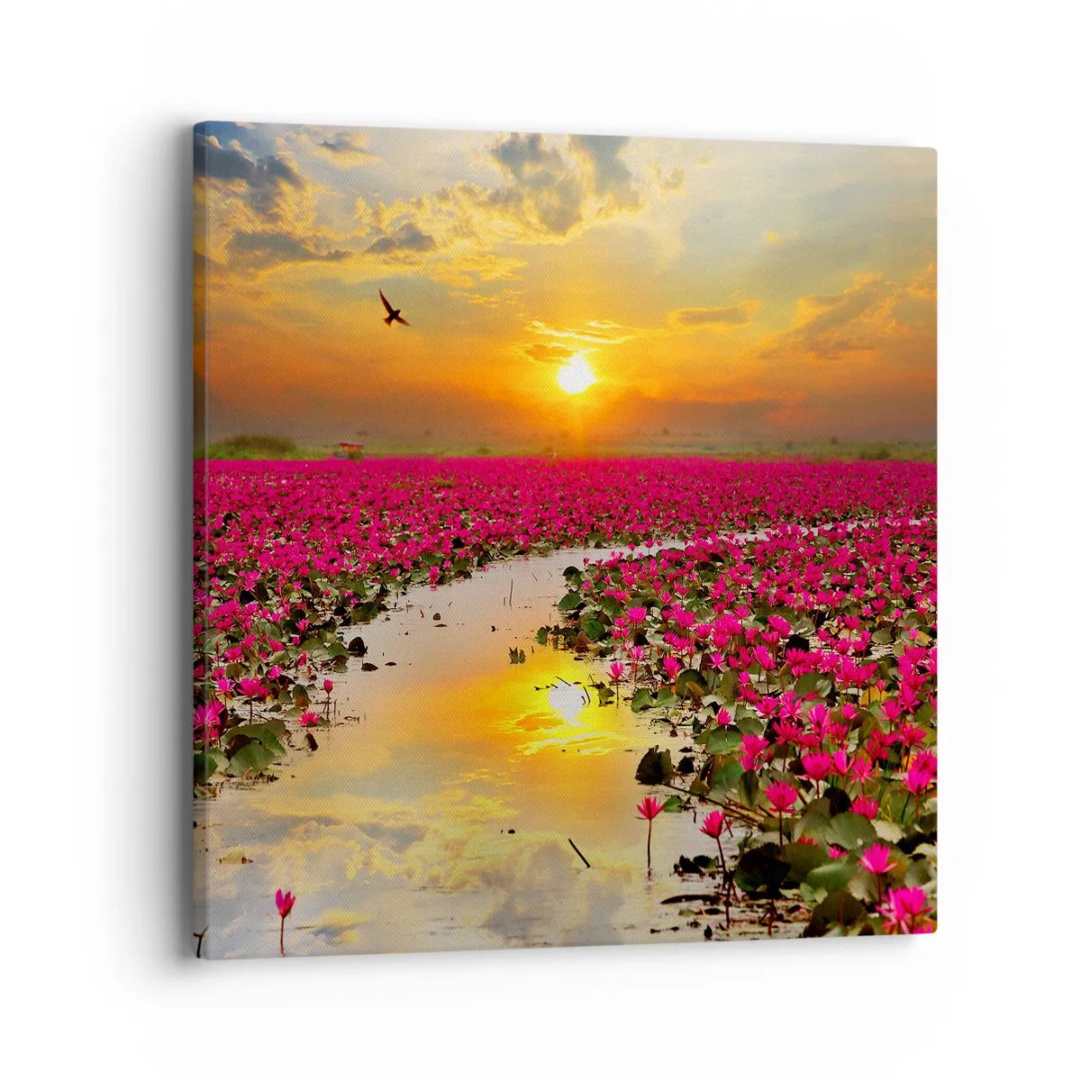 Cuadro sobre lienzo - Impresión de Imagen - La vida secreta del lago - 40x40 cm