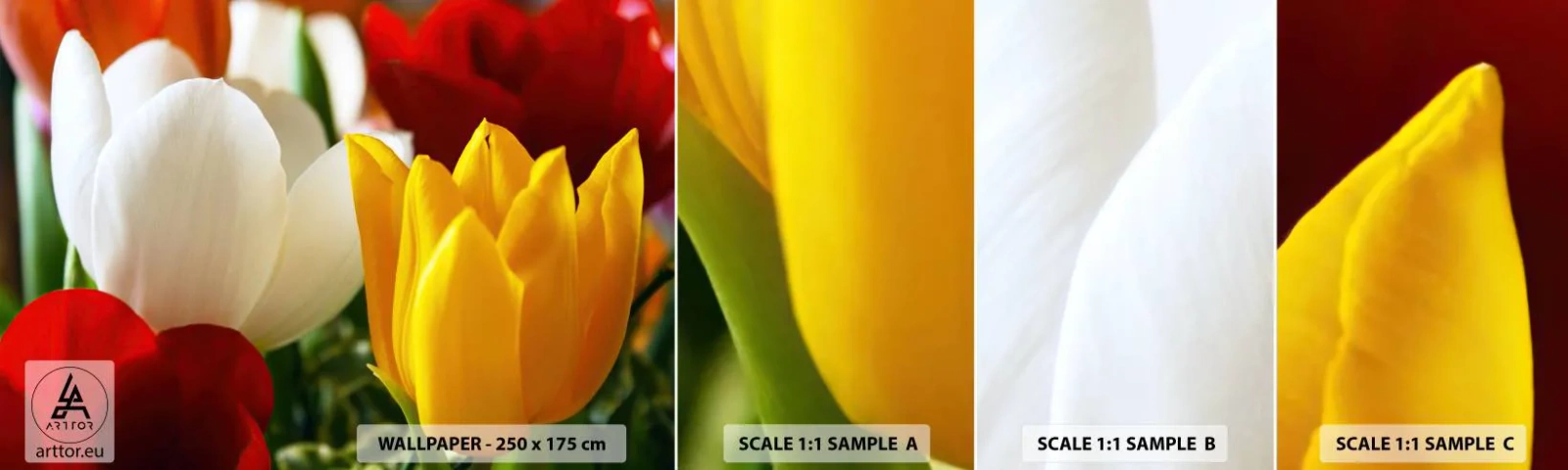 Muestra De Fotomural Standard Eco - Fiebre del tulipán - flores, tulipanes, Ramo de flores - 100x30 cm