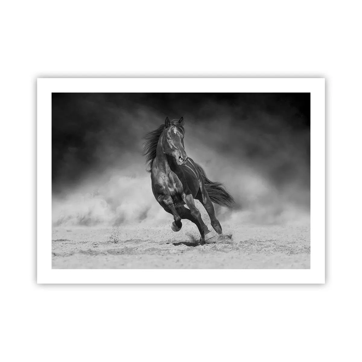 Póster - Digno del propio emir - 70x50 cm