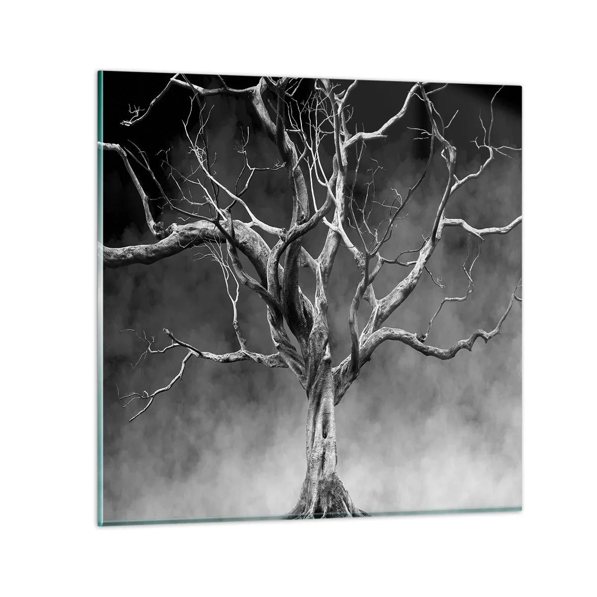 Cuadro sobre vidrio - Impresiones sobre Vidrio - Primordial y sagrado - 50x50 cm