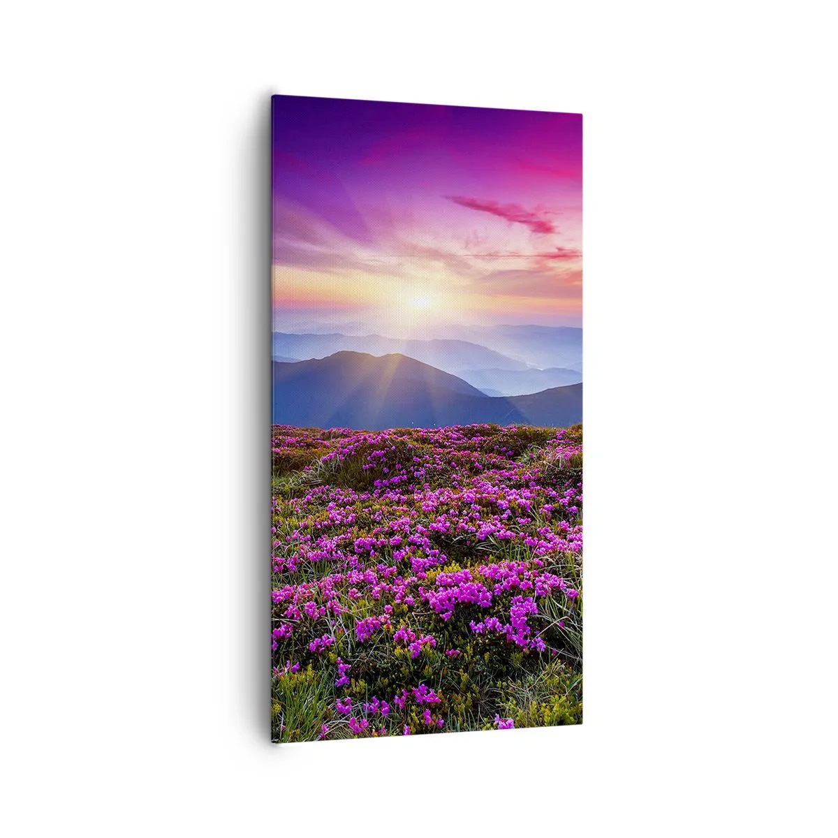 Cuadro sobre lienzo - Impresión de Imagen - Dulce aroma a frescura - 65x120 cm