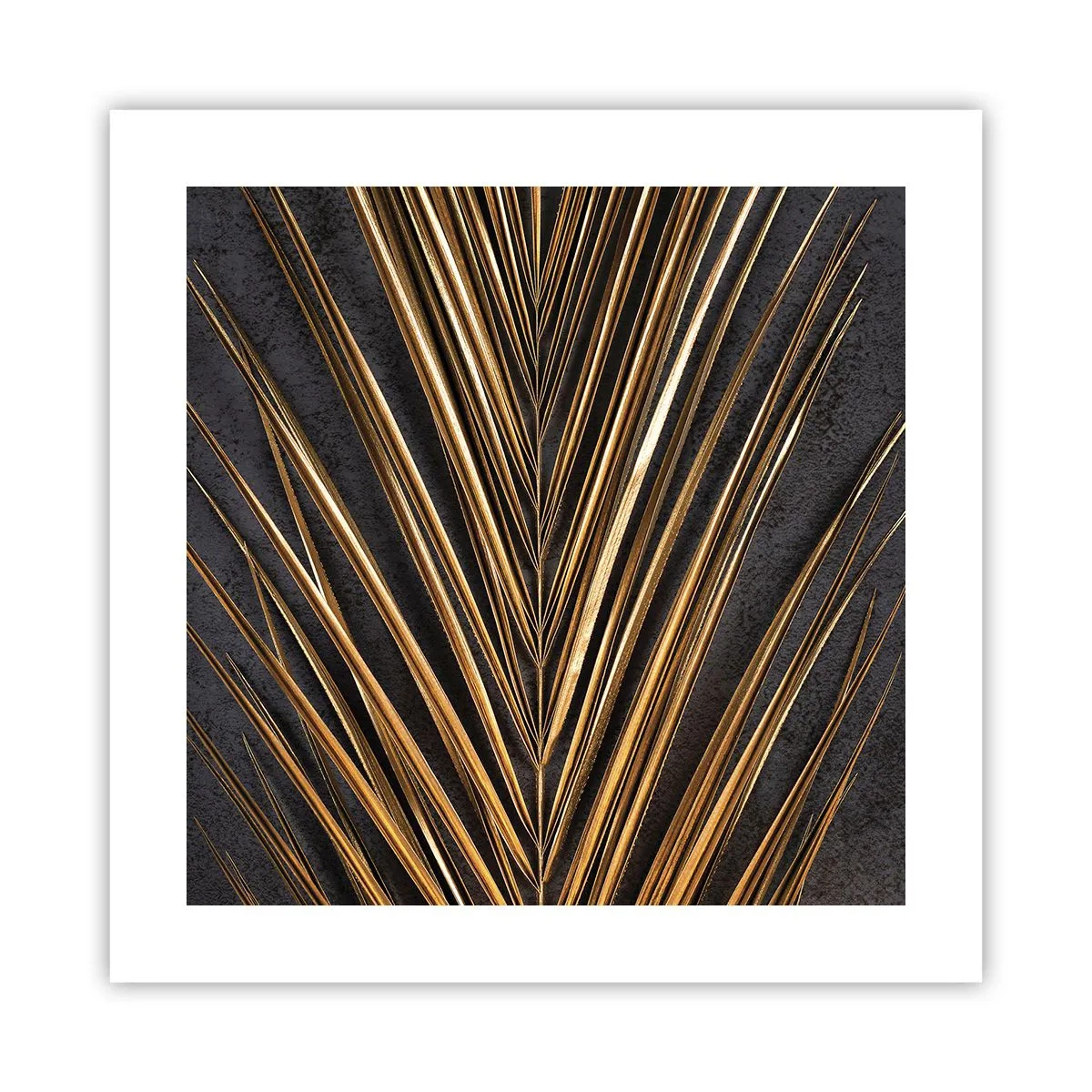 Póster - El oro de los trópicos - 40x40 cm