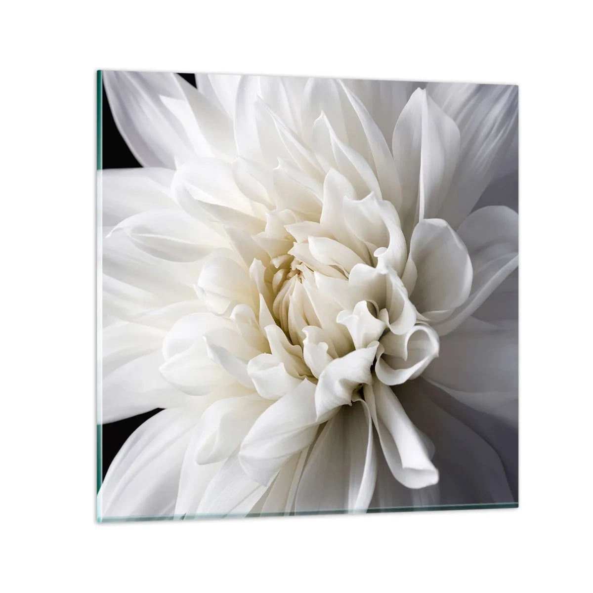 Cuadro sobre vidrio - Impresiones sobre Vidrio - La novia de la mañana - 60x60 cm