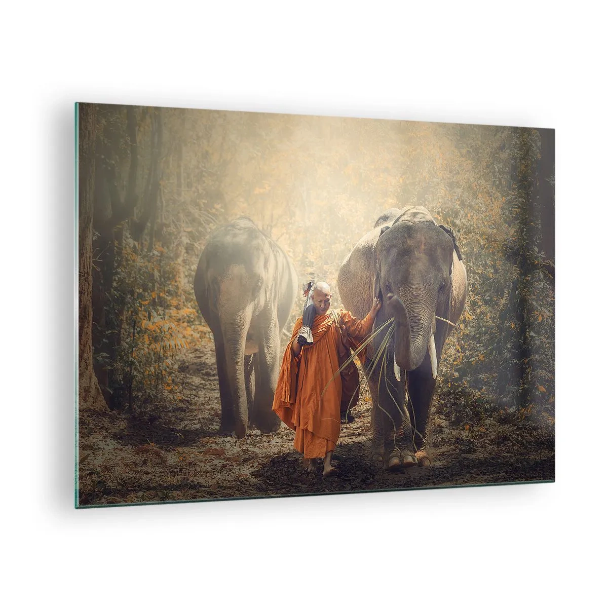Cuadro sobre vidrio - Impresiones sobre Vidrio - Un monje con dos elefantes en un entorno forestal. - 70x50cm - Comprensión total - Decoración de pared moderna para salón y dormitorio ARTTOR