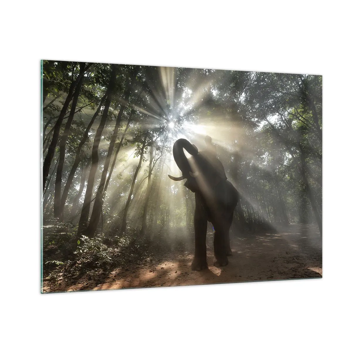 Cuadro sobre vidrio - Impresiones sobre Vidrio - Un elefante en un bosque iluminado por la luz del sol. - 100x70cm - Bajo una estrella de la suerte - Decoración de pared moderna para salón y dormitorio ARTTOR
