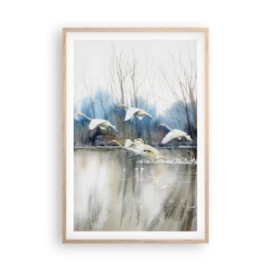 Póster en marco roble claro - Como en un cuento de cisnes salvajes - 61x91 cm
