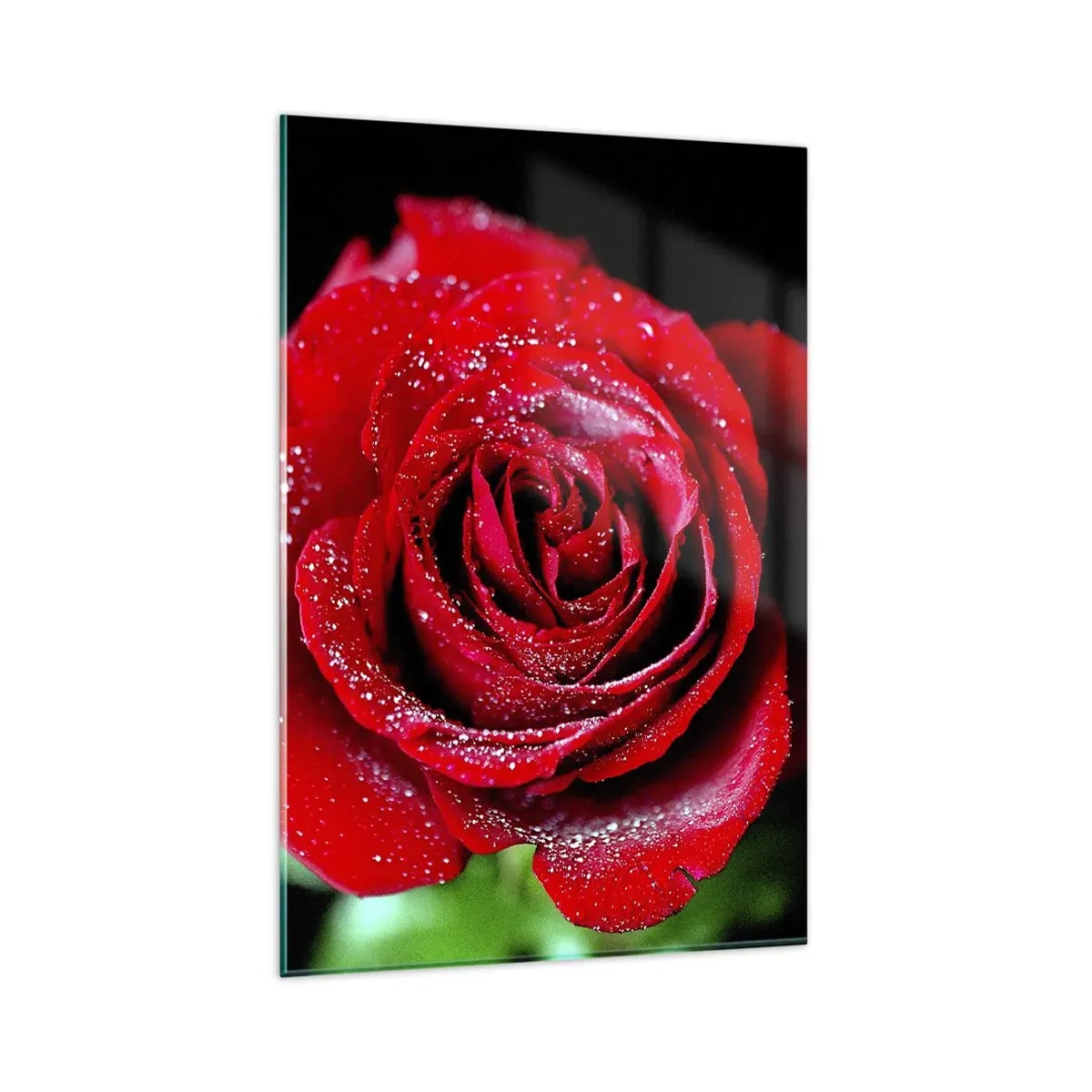 Cuadro sobre vidrio - Impresiones sobre Vidrio - Una rosa roja cubierta de gotas de rocío sobre un fondo negro. - 80x120cm - Eso es el amor - Decoración de pared moderna para salón y dormitorio ARTTOR