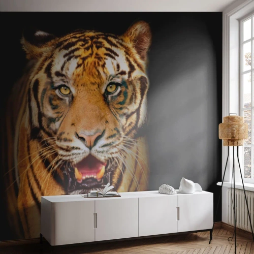 Fotomural Autadhesivo Deluxe Sticker - Salvaje de corazón - animales, Tigre, Depredador - 100x70 cm