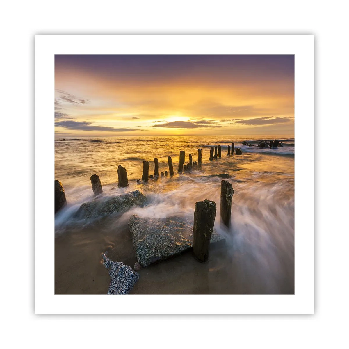 Póster - La cruda belleza del Báltico - 50x50 cm