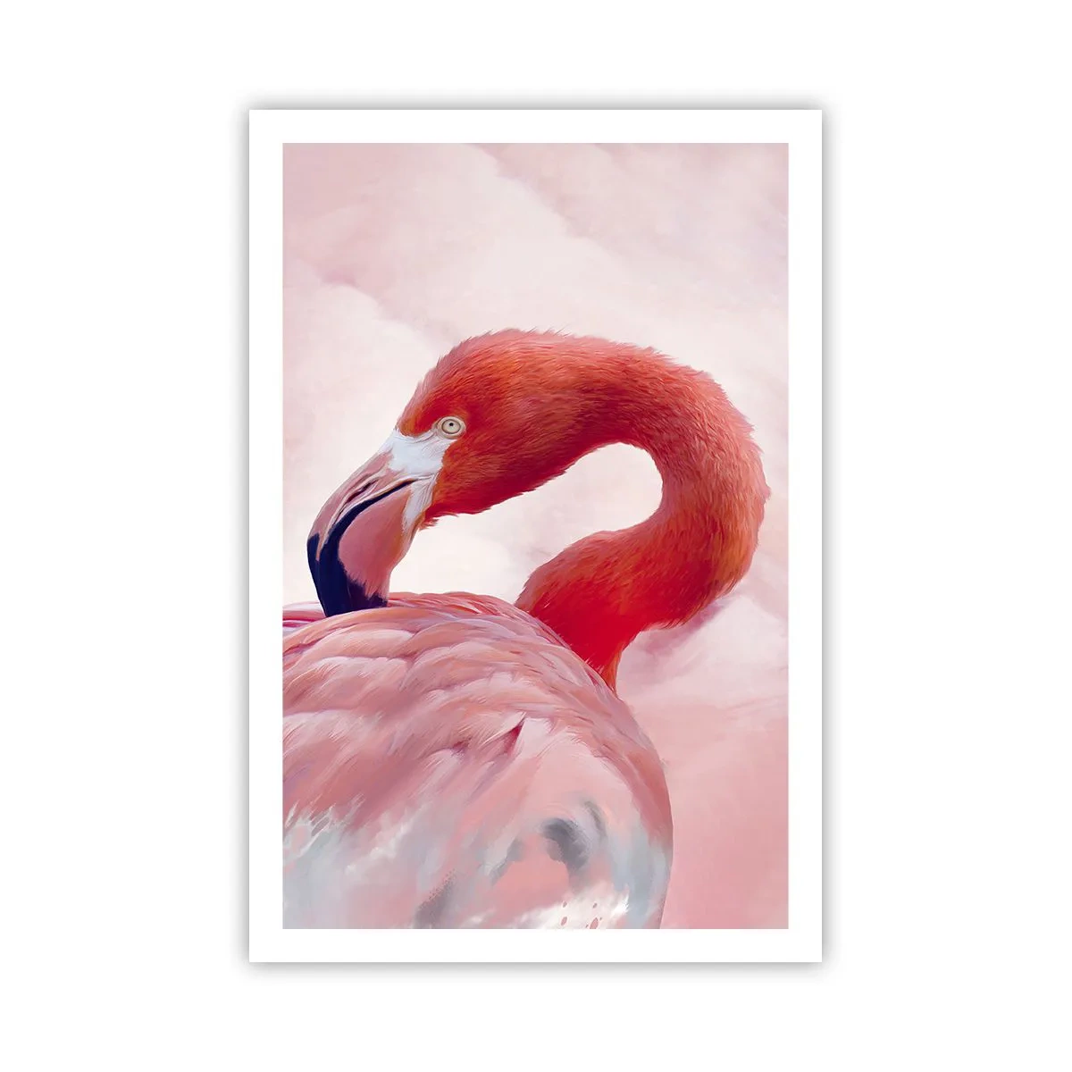 Póster - La belleza de las aves - 61x91 cm