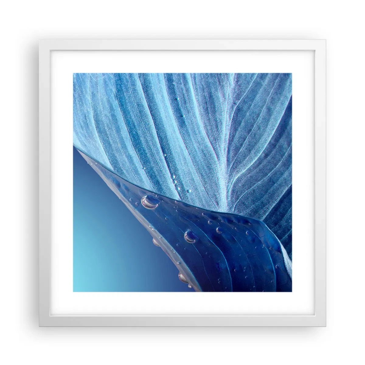 Póster en marco blanco - Gotas ocultas de azul - 40x40 cm