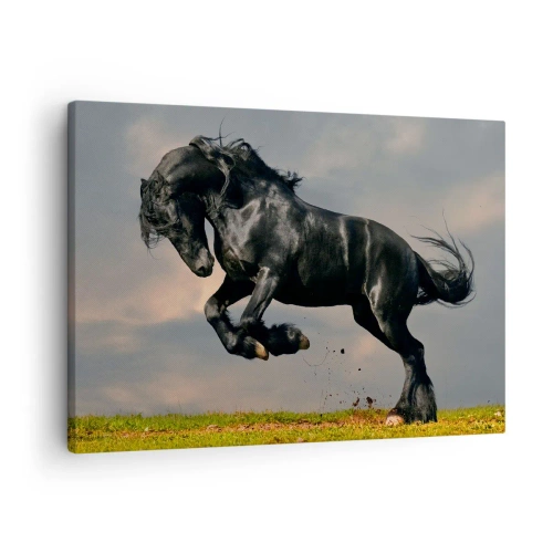 Cuadro sobre lienzo - Impresión de Imagen - Un caballo oscuro en un salto dinámico contra el cielo. - 70x50cm - Hermoso y libre - Decoración de pared moderna para salón y dormitorio ARTTOR