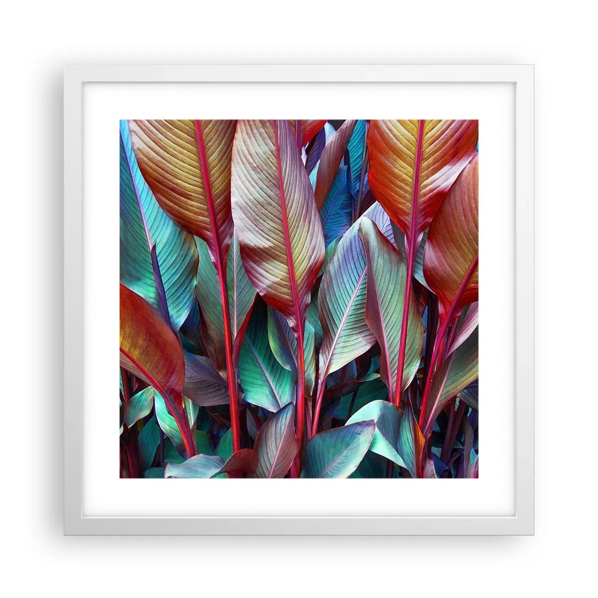 Póster en marco blanco - Un matorral de colores - 40x40 cm