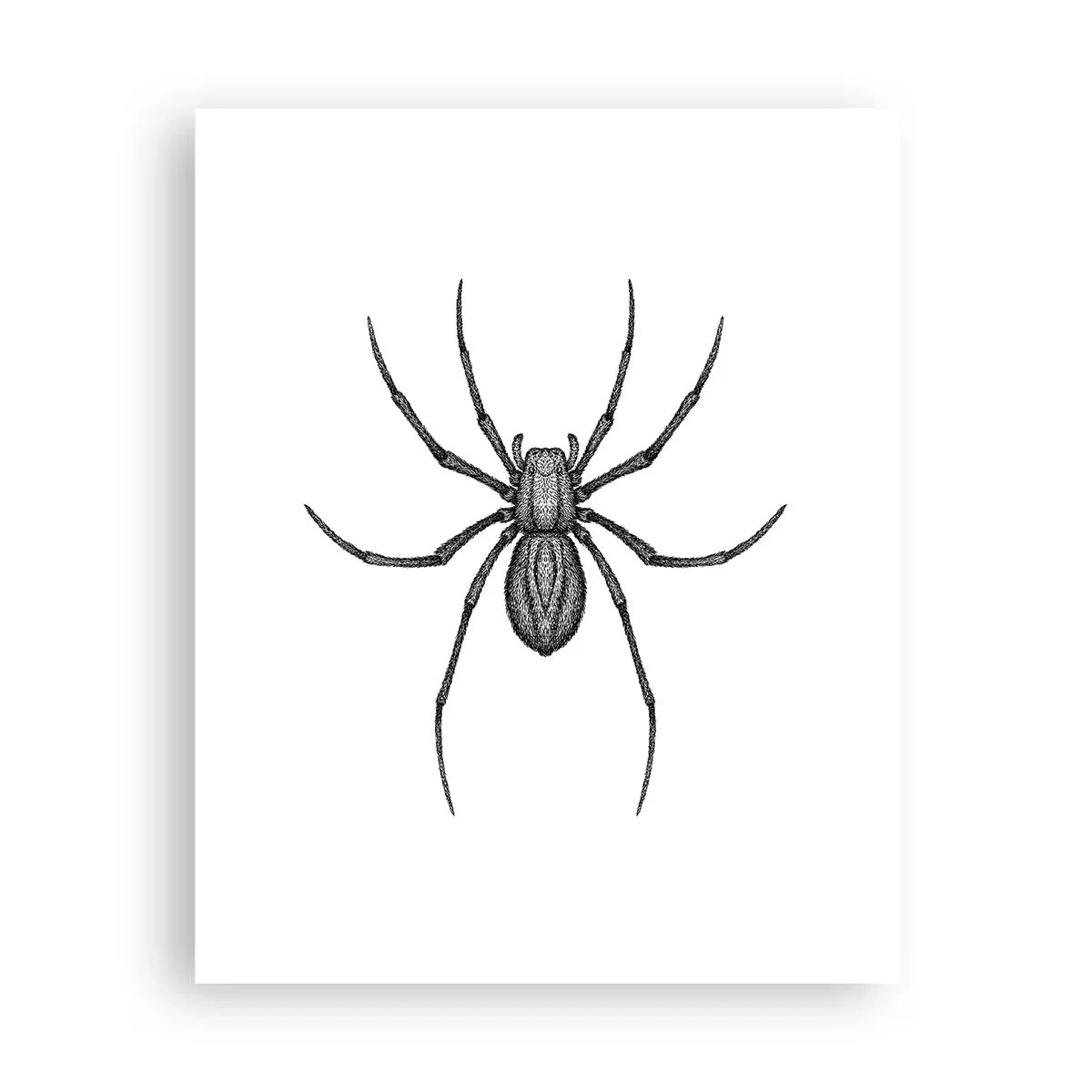 Póster - Precisión inquietante - 40x50 cm