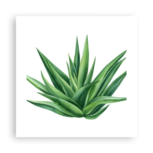 Póster - Verde - fuerza - vida - 40x40 cm
