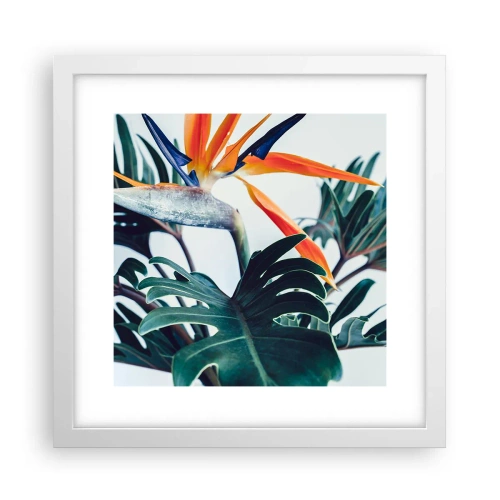 Póster en marco blanco - La jaula del pájaro colorido - 30x30 cm