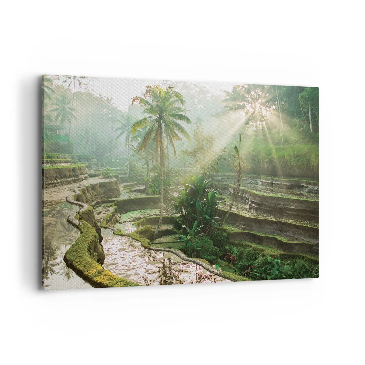 Cuadro sobre lienzo - Impresión de Imagen - Terrazas de arroz con palmeras bajo los rayos del sol - 100x70cm - Crecer bajo el sol - Decoración de pared moderna para salón y dormitorio ARTTOR