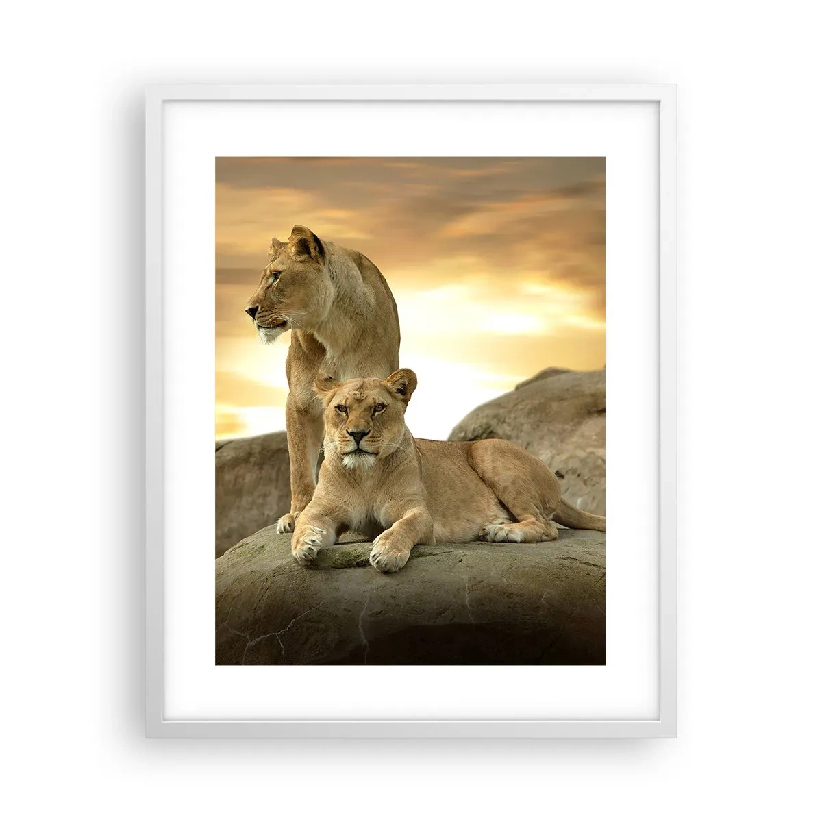 Póster en marco blanco - Majestuosidad real - 40x50 cm