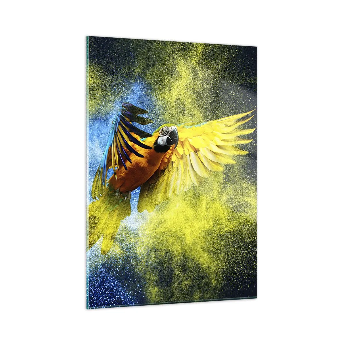 Cuadro sobre vidrio - Impresiones sobre Vidrio - Un loro colorido en vuelo sobre un fondo amarillo y azul. - 50x70cm - En polvo azul y dorado - Decoración de pared moderna para salón y dormitorio ARTTOR