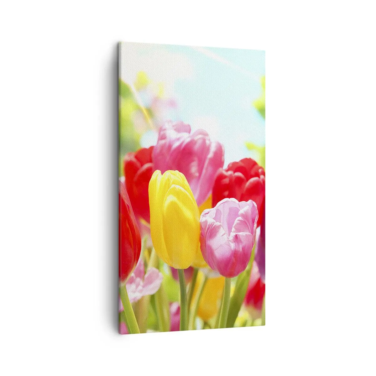 Cuadro sobre lienzo - Impresión de Imagen - Somos nosotros, ¡los colores de mayo! - 45x80 cm