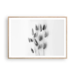 Póster en marco roble claro - Esponjas naturales - 100x70 cm