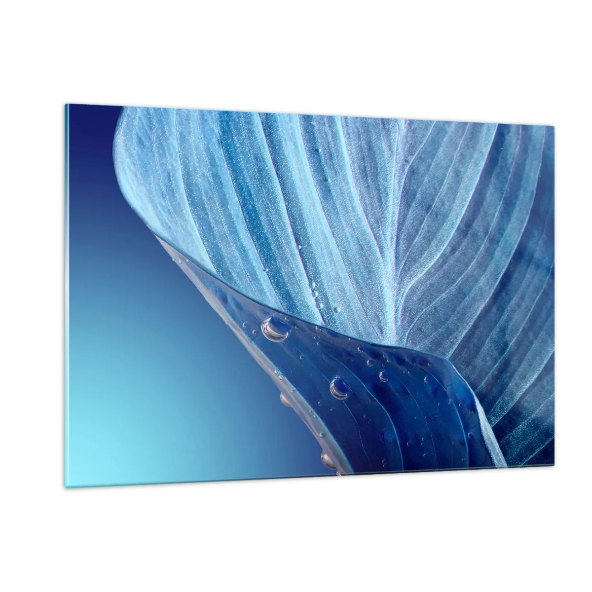 Cuadro sobre vidrio - Impresiones sobre Vidrio - Una hoja en tonos azules con gotas de agua sobre un fondo degradado. - 120x80cm - Gotas ocultas de azul - Decoración de pared moderna para salón y dormitorio ARTTOR