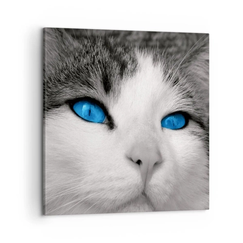 Cuadro sobre lienzo - Impresión de Imagen - Inusual de ojos azules - 60x60 cm