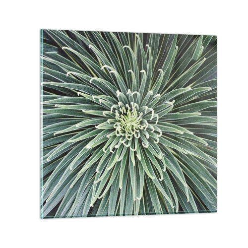 Cuadro sobre vidrio - Impresiones sobre Vidrio - El nacimiento de una estrella - 50x50 cm