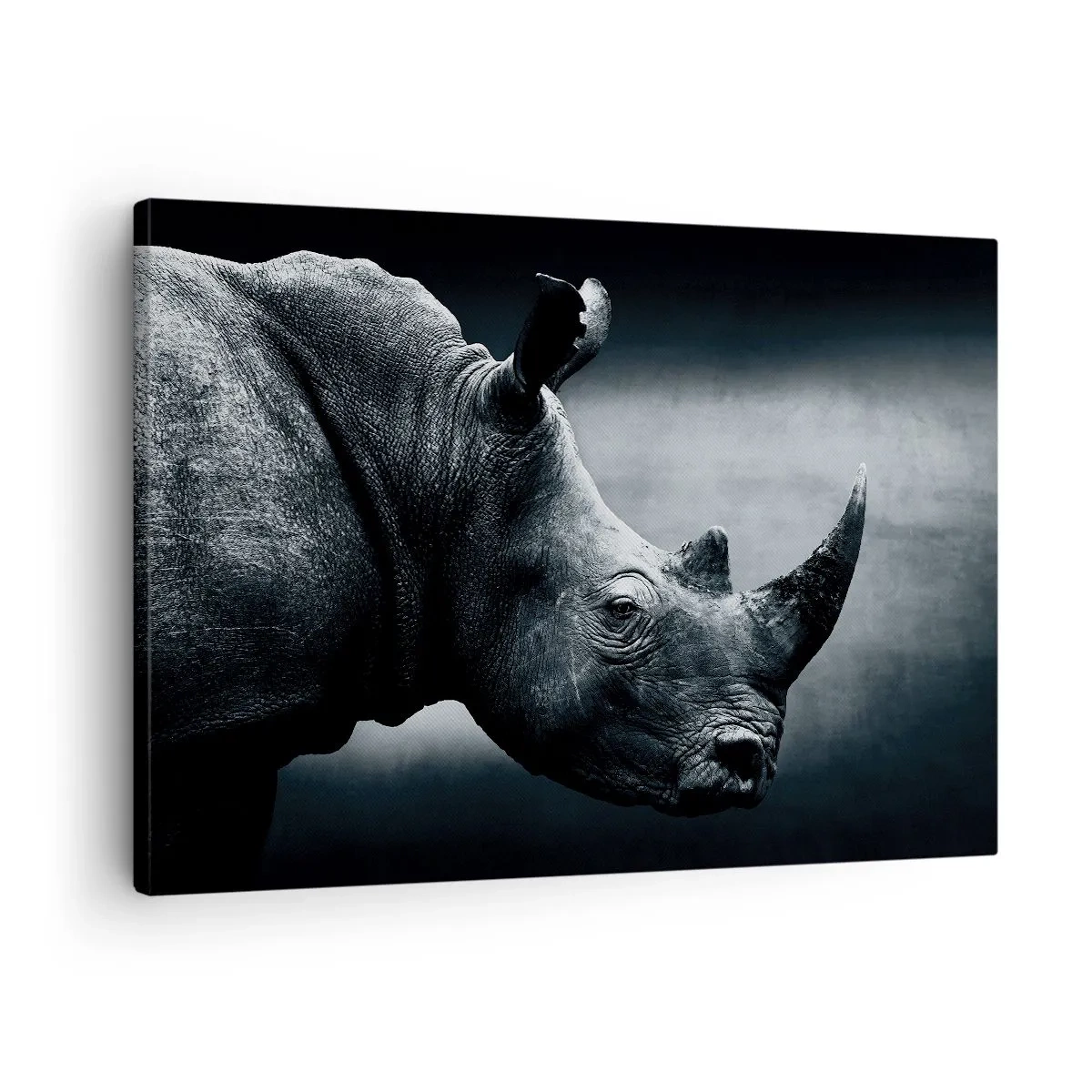 Cuadro sobre lienzo - Impresión de Imagen - Retrato en blanco y negro de un rinoceronte sobre un fondo oscuro. - 70x50cm - Perfil derecho - Decoración de pared moderna para salón y dormitorio ARTTOR